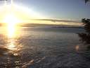 ./images/koeye/fitz-hugh/20201202/fitz-hugh20201202_160002.jpg