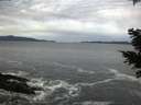 ./images/koeye/fitz-hugh/20201203/fitz-hugh20201203_080002.jpg