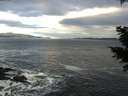 ./images/koeye/fitz-hugh/20201203/fitz-hugh20201203_100001.jpg
