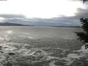 ./images/koeye/fitz-hugh/20201203/fitz-hugh20201203_120002.jpg