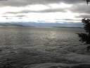 ./images/koeye/fitz-hugh/20201203/fitz-hugh20201203_140002.jpg