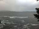 ./images/koeye/fitz-hugh/20201203/fitz-hugh20201203_160001.jpg