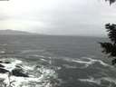./images/koeye/fitz-hugh/20201204/fitz-hugh20201204_080002.jpg