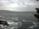 ./images/koeye/fitz-hugh/20201204/fitz-hugh20201204_100001.jpg