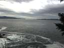 ./images/koeye/fitz-hugh/20201204/fitz-hugh20201204_120002.jpg