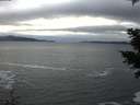 ./images/koeye/fitz-hugh/20201204/fitz-hugh20201204_140002.jpg
