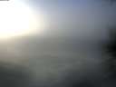 ./images/koeye/fitz-hugh/20201208/fitz-hugh20201208_120516.jpg