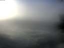 ./images/koeye/fitz-hugh/20201208/fitz-hugh20201208_121002.jpg
