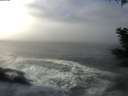 ./images/koeye/fitz-hugh/20201208/fitz-hugh20201208_121502.jpg