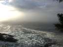 ./images/koeye/fitz-hugh/20201208/fitz-hugh20201208_122002.jpg