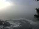 ./images/koeye/fitz-hugh/20201208/fitz-hugh20201208_122502.jpg