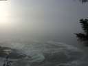 ./images/koeye/fitz-hugh/20201208/fitz-hugh20201208_123002.jpg