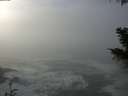 ./images/koeye/fitz-hugh/20201208/fitz-hugh20201208_123501.jpg