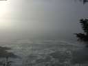 ./images/koeye/fitz-hugh/20201208/fitz-hugh20201208_124002.jpg