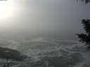 ./images/koeye/fitz-hugh/20201208/fitz-hugh20201208_124502.jpg
