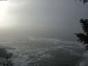 ./images/koeye/fitz-hugh/20201208/fitz-hugh20201208_125002.jpg