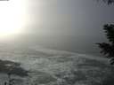 ./images/koeye/fitz-hugh/20201208/fitz-hugh20201208_125502.jpg