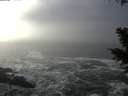 ./images/koeye/fitz-hugh/20201208/fitz-hugh20201208_130002.jpg