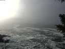 ./images/koeye/fitz-hugh/20201208/fitz-hugh20201208_130502.jpg