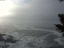 ./images/koeye/fitz-hugh/20201208/fitz-hugh20201208_131002.jpg