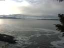 ./images/koeye/fitz-hugh/20201208/fitz-hugh20201208_131501.jpg