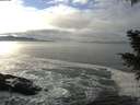./images/koeye/fitz-hugh/20201208/fitz-hugh20201208_132001.jpg