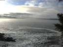 ./images/koeye/fitz-hugh/20201208/fitz-hugh20201208_132501.jpg
