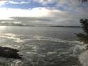 ./images/koeye/fitz-hugh/20201208/fitz-hugh20201208_133001.jpg
