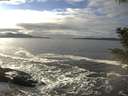 ./images/koeye/fitz-hugh/20201208/fitz-hugh20201208_133501.jpg