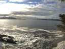 ./images/koeye/fitz-hugh/20201208/fitz-hugh20201208_134001.jpg