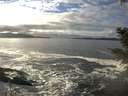 ./images/koeye/fitz-hugh/20201208/fitz-hugh20201208_134501.jpg