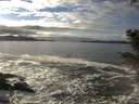 ./images/koeye/fitz-hugh/20201208/fitz-hugh20201208_135001.jpg