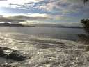 ./images/koeye/fitz-hugh/20201208/fitz-hugh20201208_135501.jpg