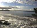 ./images/koeye/fitz-hugh/20201208/fitz-hugh20201208_140002.jpg