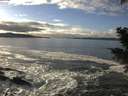 ./images/koeye/fitz-hugh/20201208/fitz-hugh20201208_140501.jpg