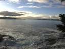 ./images/koeye/fitz-hugh/20201208/fitz-hugh20201208_141001.jpg
