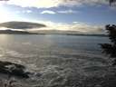 ./images/koeye/fitz-hugh/20201208/fitz-hugh20201208_141501.jpg