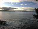 ./images/koeye/fitz-hugh/20201208/fitz-hugh20201208_142001.jpg