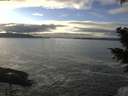 ./images/koeye/fitz-hugh/20201208/fitz-hugh20201208_142501.jpg
