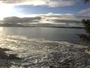 ./images/koeye/fitz-hugh/20201208/fitz-hugh20201208_143002.jpg