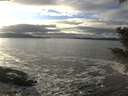 ./images/koeye/fitz-hugh/20201208/fitz-hugh20201208_143502.jpg