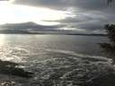 ./images/koeye/fitz-hugh/20201208/fitz-hugh20201208_144002.jpg