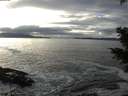 ./images/koeye/fitz-hugh/20201208/fitz-hugh20201208_144502.jpg