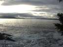./images/koeye/fitz-hugh/20201208/fitz-hugh20201208_145002.jpg