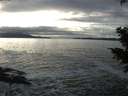 ./images/koeye/fitz-hugh/20201208/fitz-hugh20201208_145502.jpg