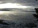 ./images/koeye/fitz-hugh/20201208/fitz-hugh20201208_150002.jpg