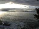 ./images/koeye/fitz-hugh/20201208/fitz-hugh20201208_150502.jpg
