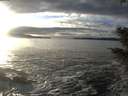 ./images/koeye/fitz-hugh/20201208/fitz-hugh20201208_151002.jpg