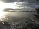 ./images/koeye/fitz-hugh/20201208/fitz-hugh20201208_151502.jpg