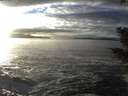 ./images/koeye/fitz-hugh/20201208/fitz-hugh20201208_152002.jpg